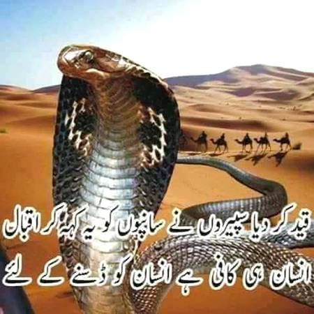 ...🔥🔥🔥✔...