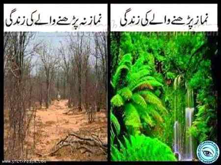 Soch loo MUSLMANO 😊☺