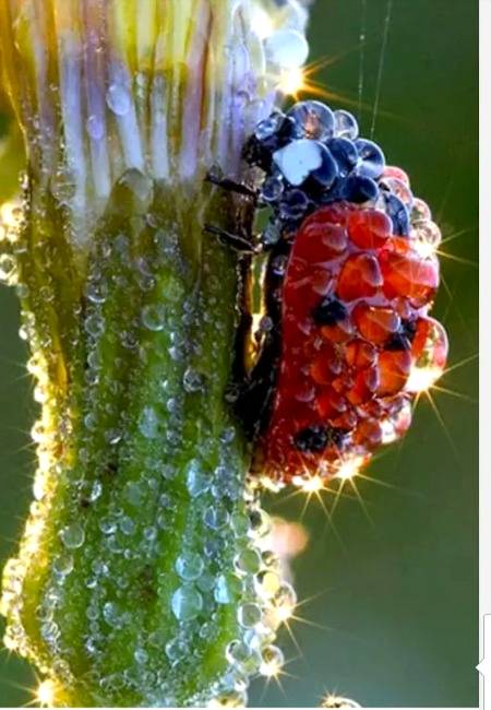 Beautiful natural beauty