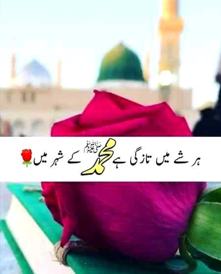 Mera dil p likh dy apna naam mola ya mola tera pyar di tasbe hath witch parh k m tera na DA werd Kara mola mera dil p likh dy apna naam mola my favorite naat amazing 😍😍😍😘😘💖🌹🌷❤❤❤💟😘😘😘