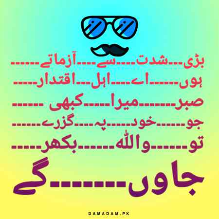 🌺🌼🌺🌼🌺🌼🌺🌼🌺🌼🌺🌺🌹🌼🌺🌼🌺🌼