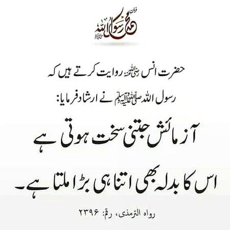 🌹🌹🌹صلی اللہ علی حبیبہ محمد نور من نوراللہ وعلی آلہ واہل بیتہ وعترتہ وازواجہ وصحبہ وجدہ وذریتہ و کل امتہ وبارک وسلم کثیراً کثیرا و دائماً ابدا 🌹🌹🌹