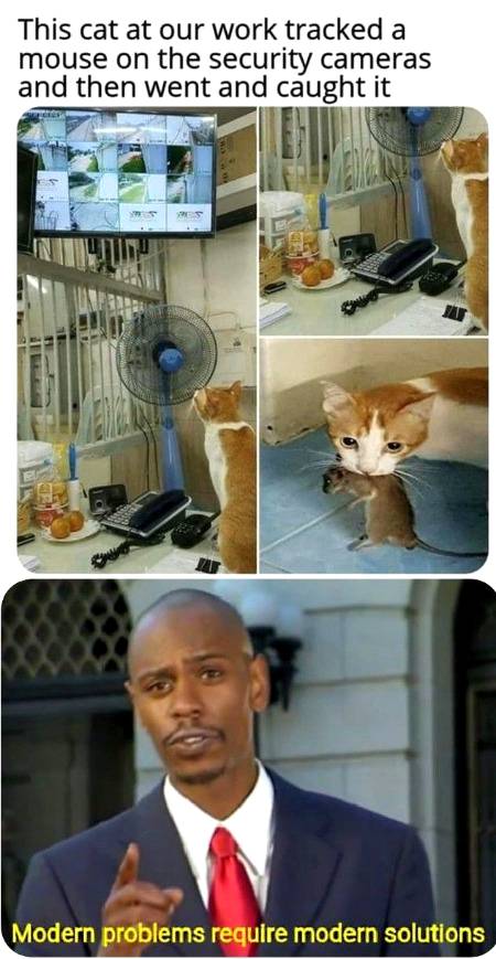 Exactly...😹😹😹