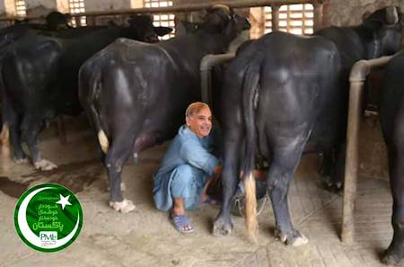 *نون لیگ کے سوشل میڈیا کی جانب سے شہباز گُجر کی تصویر شائع کر دی گئی.*