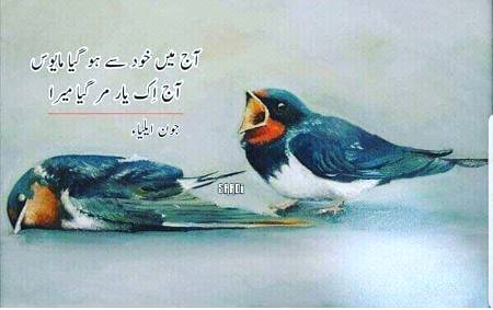 Wahh Jhon Eliya Sab...Tusi V Great Ho...☺😊😊👈👈👌👌👌✌✌👏