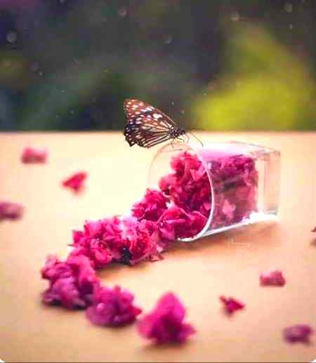 کسی طرح کی غلط فہمیاں نہ پالئیے گا۔ میں عادتاً بھی محبت سے پیش آتی ہوں💕