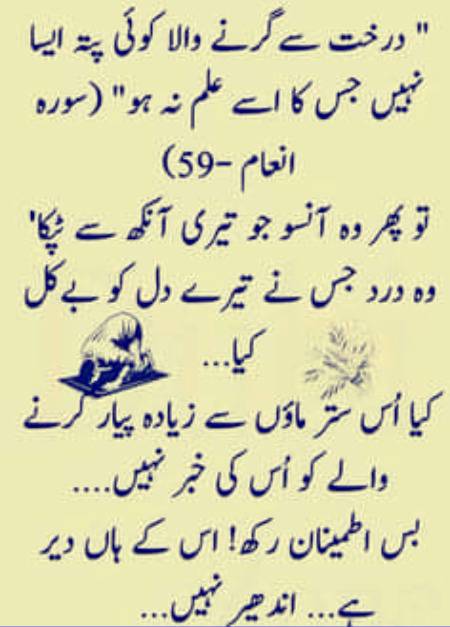🌹🌹🌹صلی اللہ علی حبیبہ محمد نور من نوراللہ وعلی آلہ واہل بیتہ وعترتہ وازواجہ وصحبہ وجدہ وذریتہ و کل امتہ وبارک وسلم کثیراً کثیرا و دائماً ابدا 🌹🌹🌹