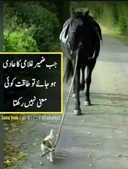 Ye b such hy lkn koi smjy tb