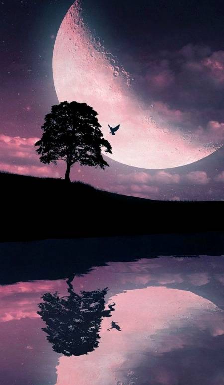 Beautiful..😍😍😊😊