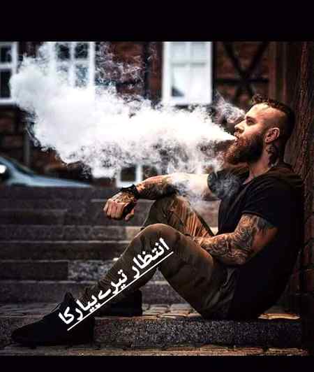 ڈنر کا مجھ کو نہیں ہے چسکا  وگرنہ ہے کارڈ میں تو لکھا 
شراب ہو گی  کباب ہوں گے، حضور عالی جناب ہوں گے