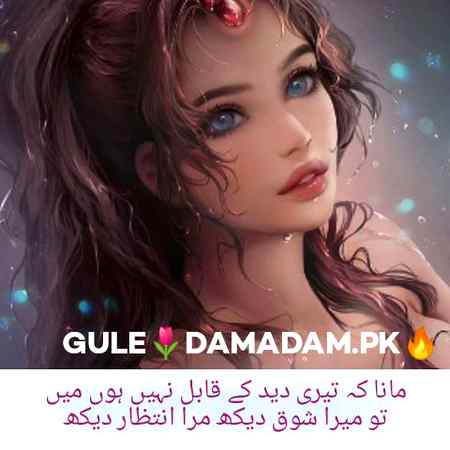 gule🌷Damadam Lover🔥