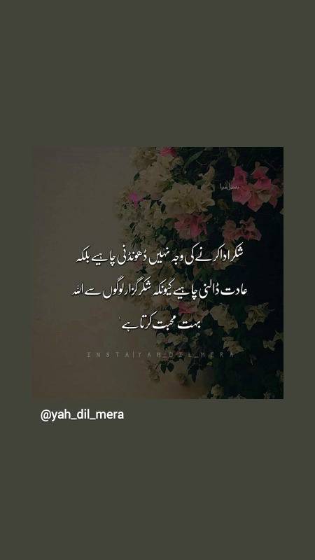 Hamen her waqt allah ka shuker ada krna chaiyeb
