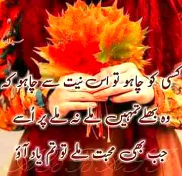 Sajid_khan_Niazi_786