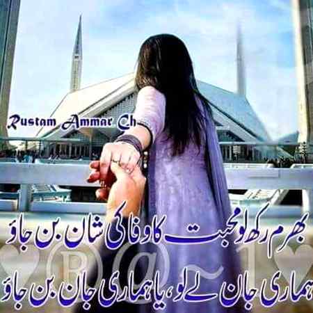 Hlo friends