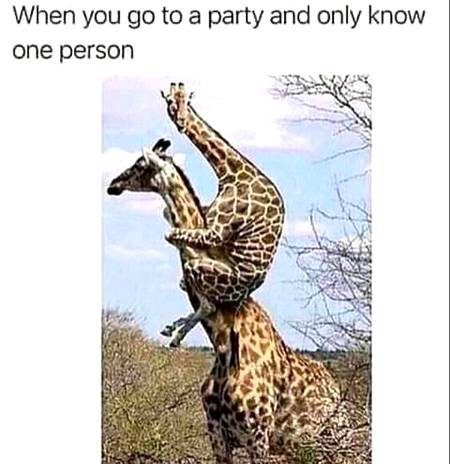 Can relate Sometimes