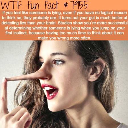 WTF fun fact