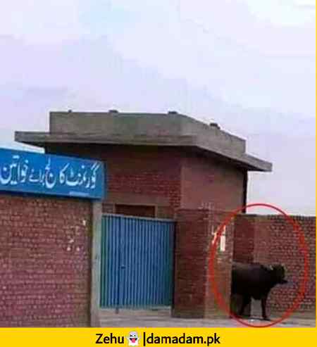 گورنمنٹ کالج برائے خواتیں🤐😐