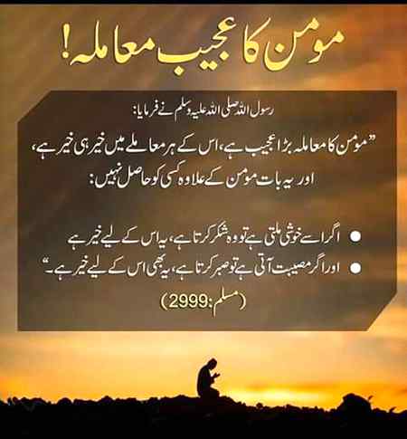 ❤🌹❤🌹❤🌹❤🌹❤🌹❤🌹❤🌹❤🌹