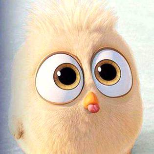 .q1 & Go0d m0rninG 2 alL