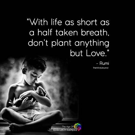RUMI'S WORDS