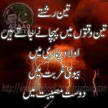 🌹🍀🌹True Lines🌹🍀🌹