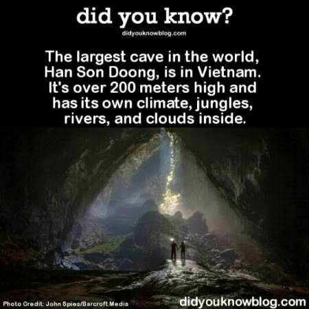 Amazing ,..