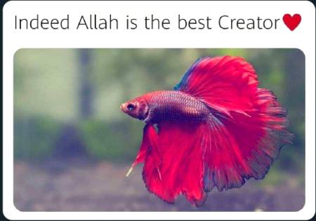 Indeed friends......😍😍😍😍😍😍