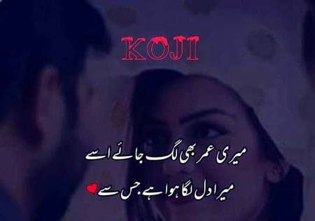 Nice lovely