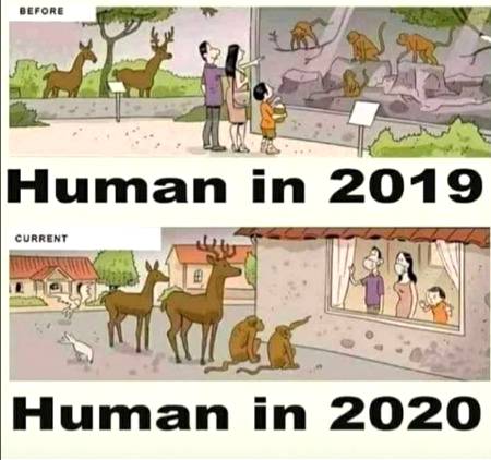 Saal badal gya ha