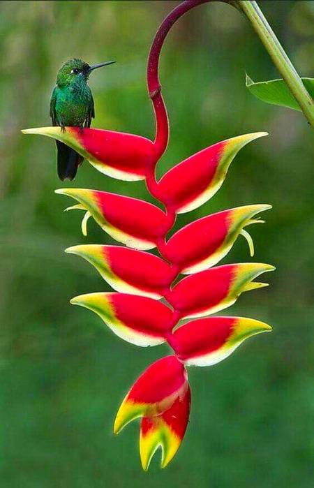 Beautiful .g3