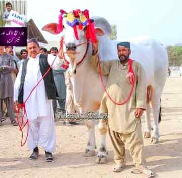 😍😍😍mashaALLAH height dekho👌👌👌
Anum malik😇