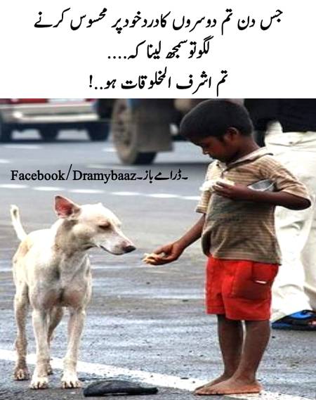 💯% Warna insan honay ka koi Faida Nhi..😉