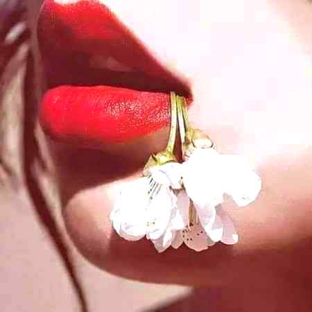 ایک ہی تو ہوس رہی ہے ہمیں.

اپنی حالت تباہ کی جائے..!!

ŁöSt_Farii💔