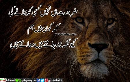 ضرورت ہی نہیں کسی کو بتانے کی
کہ کون ہیں ہم
کیونکہ جو جانتے ہیں وہ مانتے ہیں