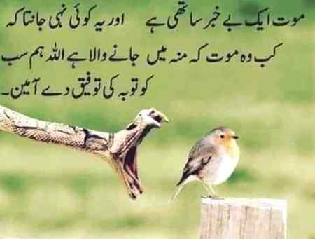 Her waqt tiyar raho mout k lye