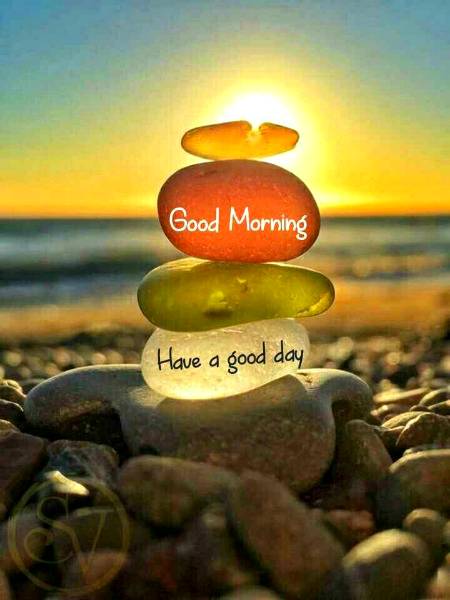 Have a nice day