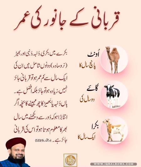 🌹🌹🌹صلی اللہ علی حبیبہ محمد نور من نوراللہ وعلی آلہ واہل بیتہ وعترتہ وازواجہ وصحبہ وجدہ وذریتہ و کل امتہ وبارک وسلم کثیراً کثیرا و دائماً ابدا 🌹🌹🌹