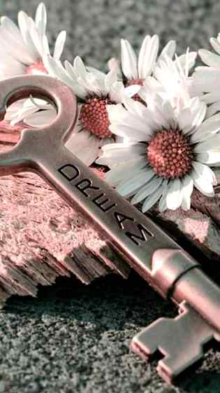 DREAMS..❤