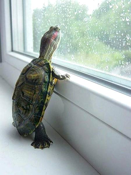 Multan wale tras gye barish k lia😢
