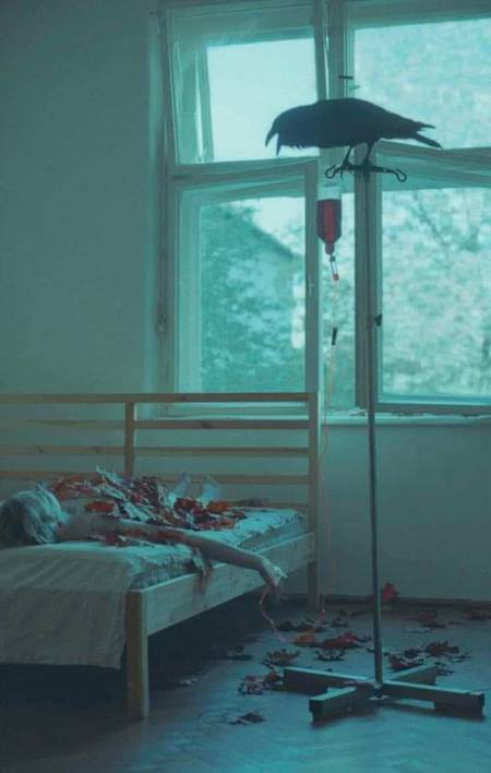 *لوگوں کی فکر مت کیجیے_____😌*

* لوگ بس فاتحہ پڑھنے ہی آئیں گے 🙄*