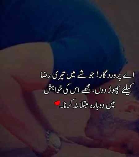 hlo friends