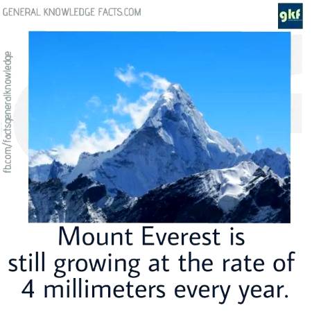 Did you know?