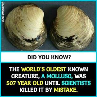 DID YOU KNOW??