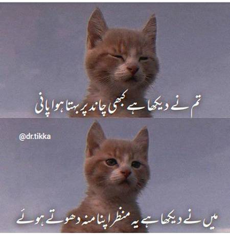 Hum nhi sudhrna walay janab یا tu bardasht kejai ya block .choice is all yours👈👍😋😷😎😛😜Amna ziddi