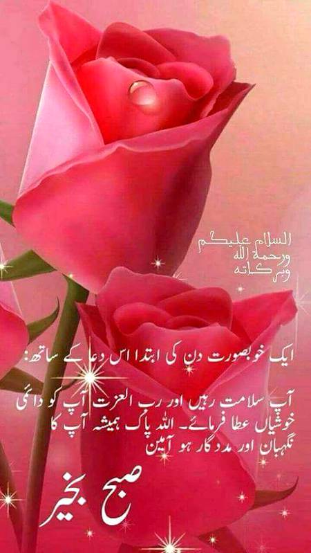 ⁦🏵️اسلام و علیکم صبح بخیر 🌷