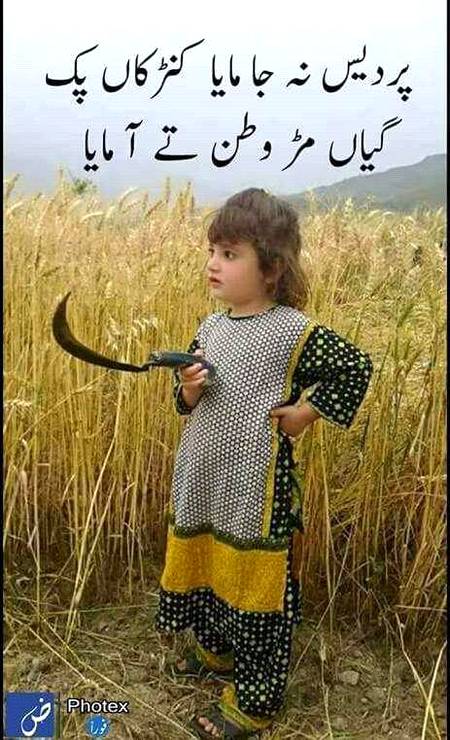 🌾🌾🌾🌾کون کون میرا چاہنے والا اس دفح گندم کٹوانے آۓ گا ہماری🌾🌾🌾🌾