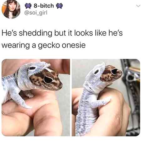 How interesting the universe is ALLAH MAKE IT SO ASTONOSHING AND AMAZING.