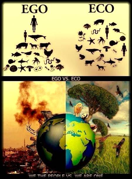 Ego Vs Eco