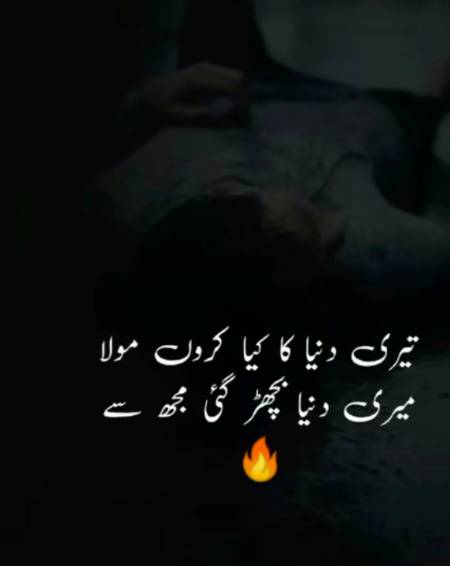 تیری دنیا کا کیا کروں مولا