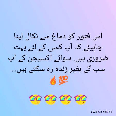 Haqeeqat
.